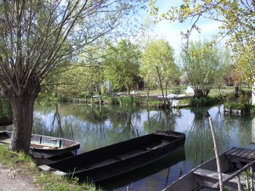 point d'eau avec végétations et barques